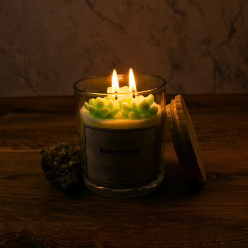 Green Reverie Coconut Soy Candle No. 14